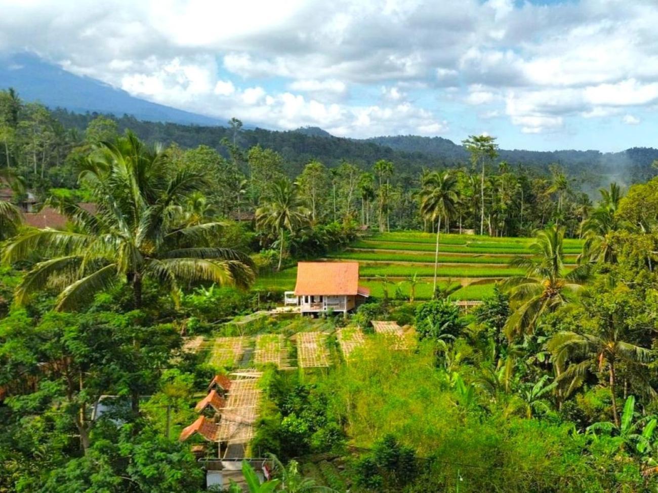 Pondok Is Oke Villa Scenic View Banyuwangi  Exterior photo