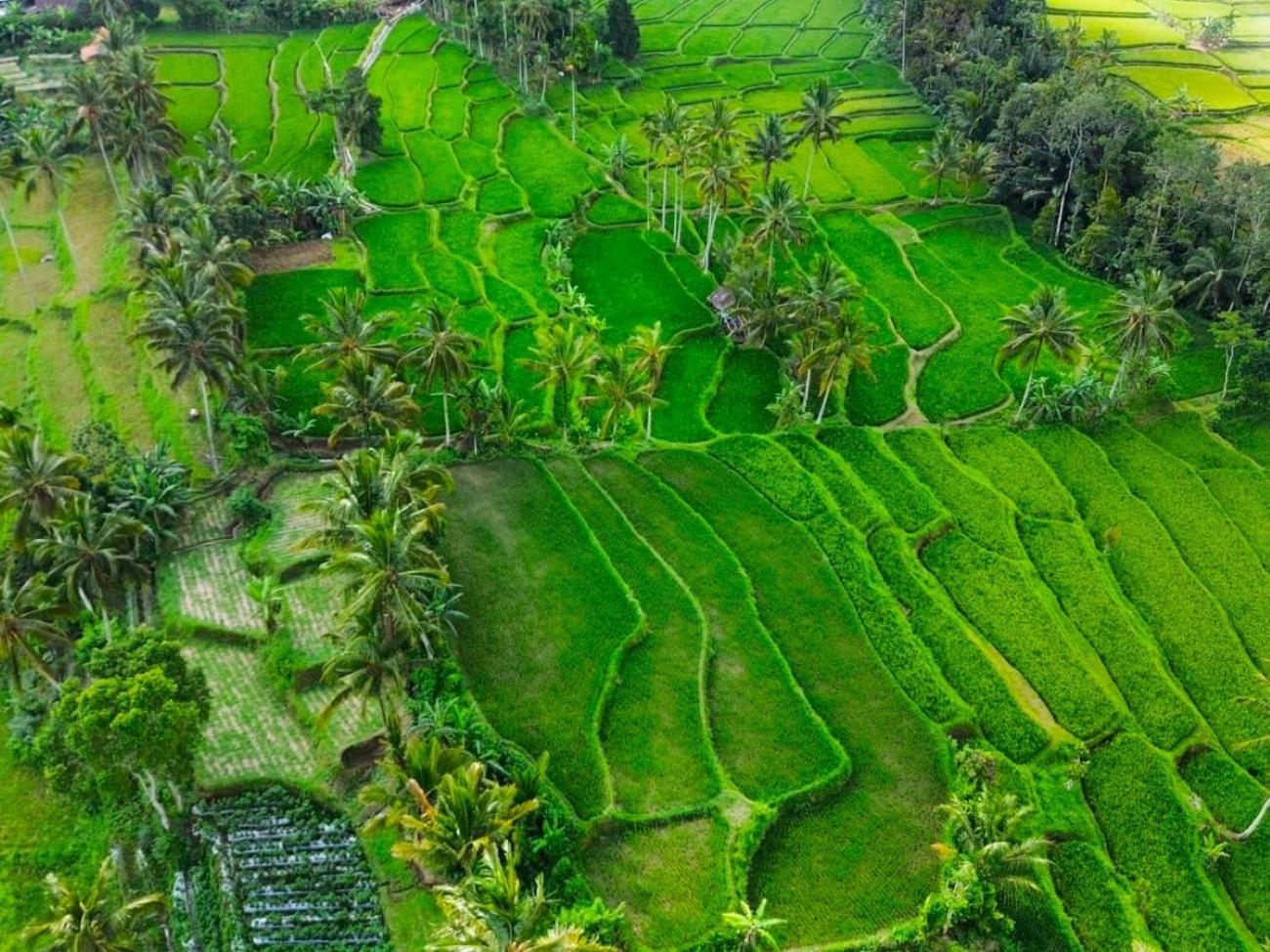 Pondok Is Oke Villa Scenic View Banyuwangi  Exterior photo